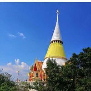 Arreeya Ruamsit profile icon