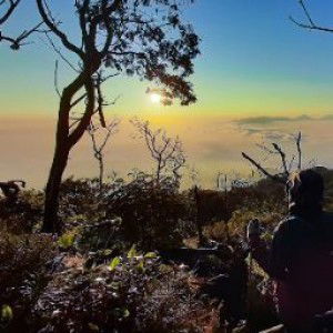 Zihan Salma profile icon