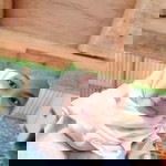 Nona Muholadun profile icon