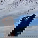 Yusmania profile icon