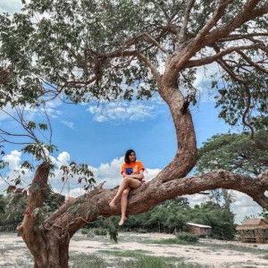 Saikwan Tita profile icon