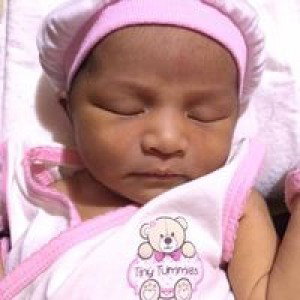 Kitt Katt profile icon