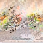 Aiyn Alwi profile icon