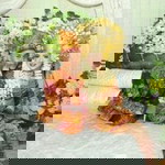 Fitri Yanaa profile icon