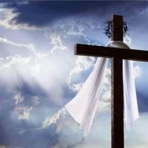 Thành Bếu profile icon