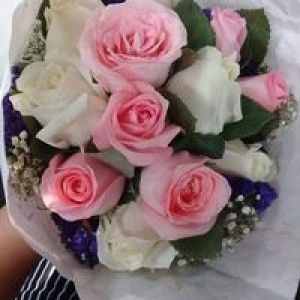 shelly mint profile icon