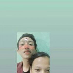 Dini Febriyanti profile icon