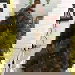 Fany Octavia profile icon