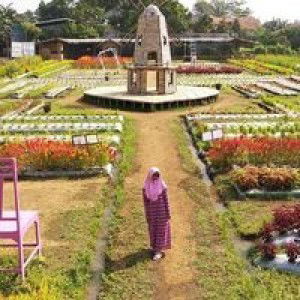 Lastri Fawwaz Afrian profile icon