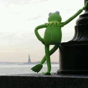 Toki Toki profile icon