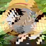 Kheiy Vieh profile icon