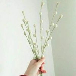 Inggit Anaska profile icon