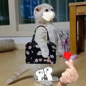 Nurushahida Cida profile icon