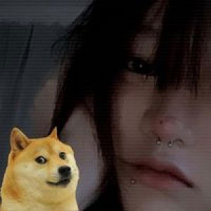 Case Case profile icon