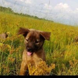 Nguyễn Thị Ánh Tuyết profile icon