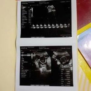 Neng Selvi profile icon