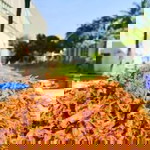 วันเวลาไม่เคย รอคัย profile icon