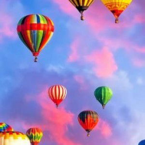 nopi suwito profile icon