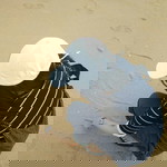 Kru Tuk Social profile icon