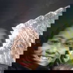 Siti Hajar Hajar profile icon