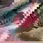 Judy Baldovino profile icon