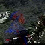 Kaka Pusspita profile icon