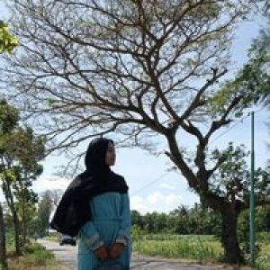 Dewi Muti profile icon