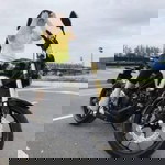 Noodaeng Sarika profile icon