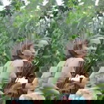 Abei Kaye Corteza profile icon