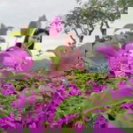 Porntip Pakdee profile icon