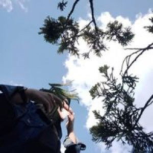 Fitri Riamayani profile icon