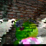 Tryana Indah Mawar profile icon