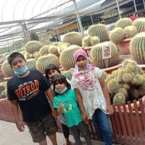 Mohamad Hafizi profile icon