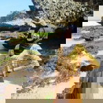 gita tyas profile icon