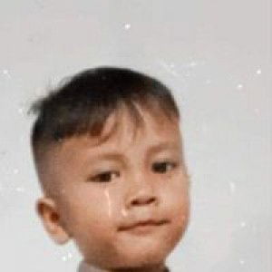 David Maulana profile icon