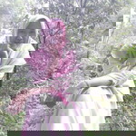 Oka Dwi profile icon