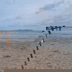 Godung Godung profile icon