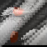 Rika Prima DaeBo profile icon