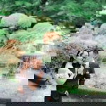 Christine Marie T. Pacaldo profile icon