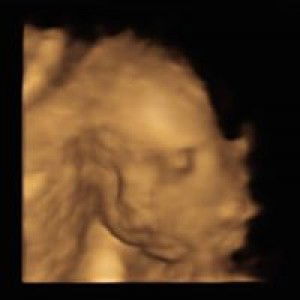 Ma Jazmin Ramos profile icon