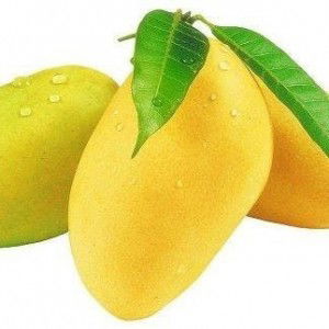 Cik Liya profile icon