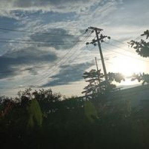 Hanifah Nur Hamidah profile icon