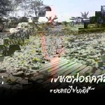 สมฤดี อินทปัตย์ profile icon