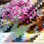 Norhaslinda farah binti mohd khalid profile icon