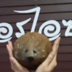 กาแฟ อรไอซ์ profile icon