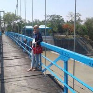 adek wahyu budiarti profile icon