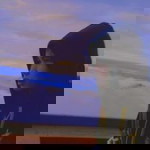 Siriyakorn Zaejeaw profile icon