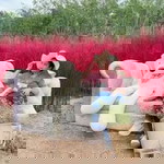 เกตุ ณัฐนันท์ profile icon