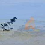 สุ ซู่ซ่า profile icon