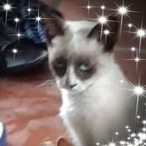 ปาริชาติ นาคมรคา profile icon